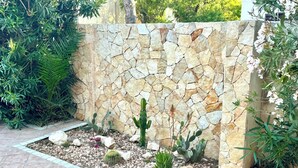 Un muro de piedra con diversos cactus y suculentas, un patio empedrado y una planta verde a la derecha.