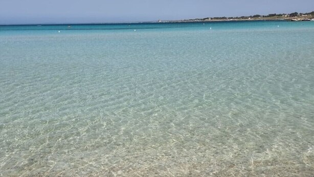 Una playa con agua clara y poco profunda, y una orilla arenosa.