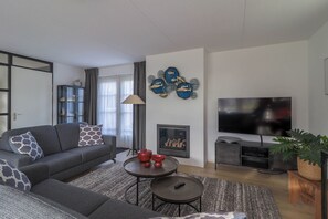 TV connectée, cheminée, lecteur de DVD