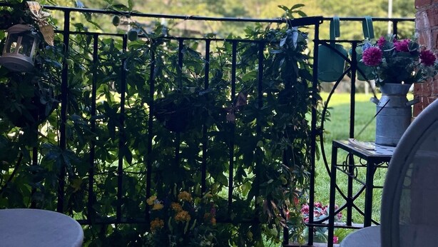 Une terrasse dotée d’une rambarde en métal noir, d’une table et de chaises. Des plantes et des fleurs en pot sont disposées sur la rambarde.