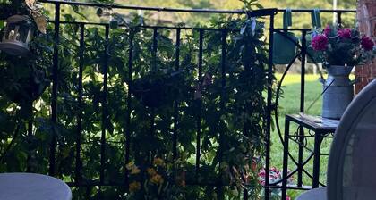 Lovely 2 bed flat in the heart of Hampstead Heath