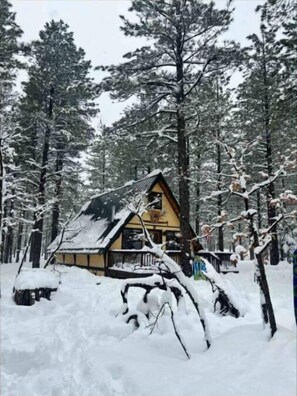 A cabin surrounded by snow-covered trees.