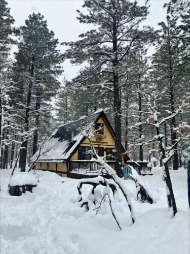 Cozy Mountain Cabin AZ