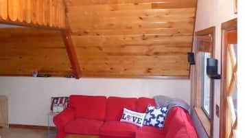TV, fireplace, DVD player, books