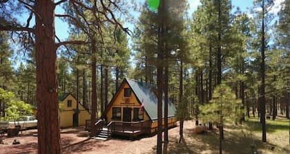 Cozy Mountain Cabin AZ