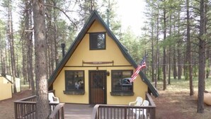 Une cabane avec un porche à l’avant, une petite fenêtre et un drapeau américain.
