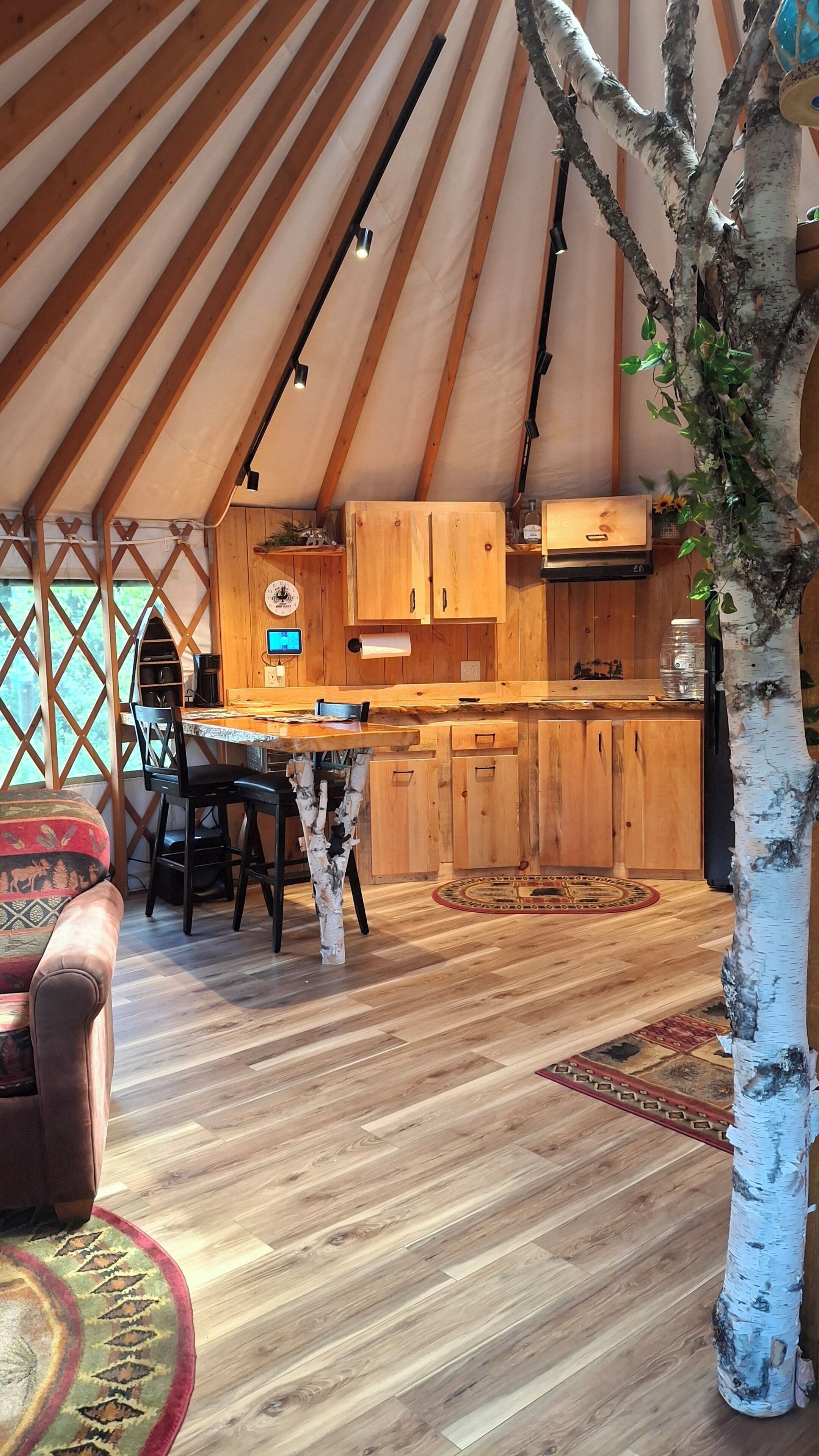 Interior espacioso de una yurta, con una zona de comedor de madera, una cocina con armarios y un abedul.