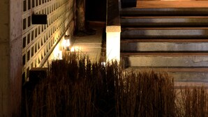 A nighttime view of a building entrance with a wooden door, steps, and a potted plant. - Homegarden Park (Pyeongtaek)