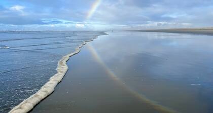 Coastal Home on Edge of Town with Fire-pit & Private Beach Path. Dog Friendly!