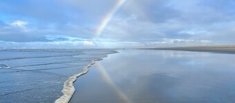 Coastal Home on Edge of Town with Fire-pit & Private Beach Path. Dog Friendly!