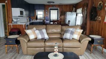 Smart TV, fireplace, DVD player, books