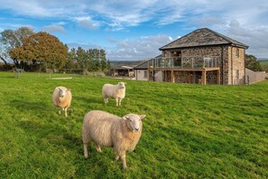 Property grounds - 18th century barn couple's retreat in beautiful Devon countryside (Saint Giles on the Heath)