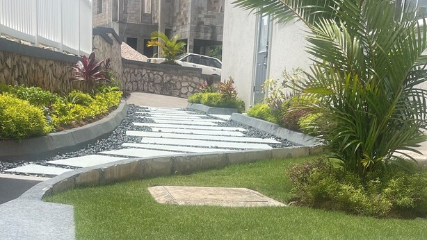 Un área de jardín ajardinada con un muro de contención de piedra, un sendero pavimentado y diversas plantas, incluyendo una palmera.
