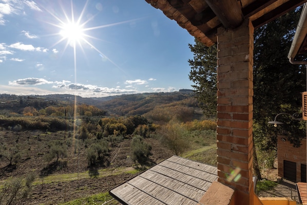 Un patio con vista su un paesaggio collinare, un camino in mattoni e un pontile di legno.
