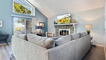 Taulutelevisio, takka