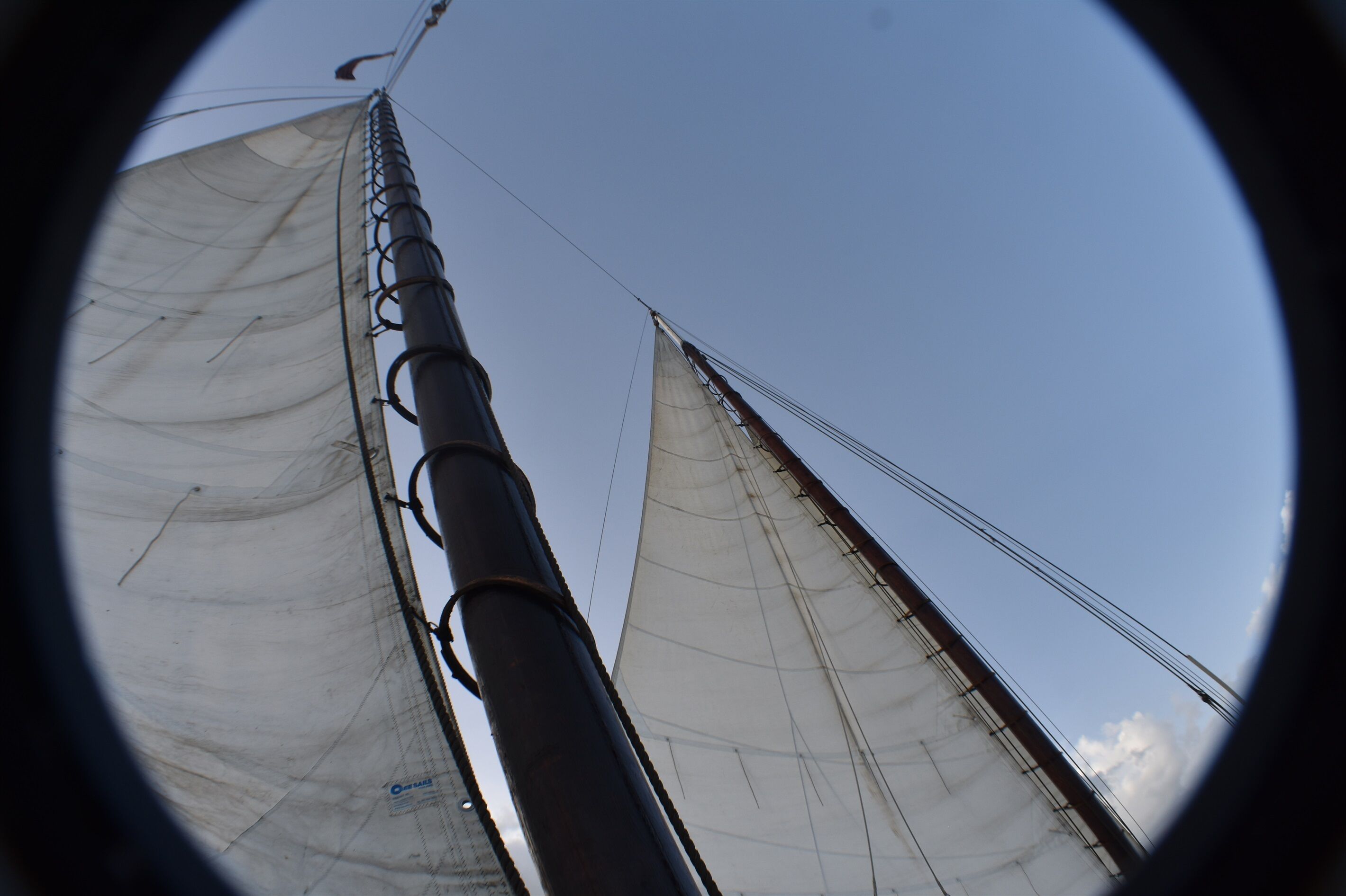 Un voilier à deux voiles, avec un mât et un gréement.