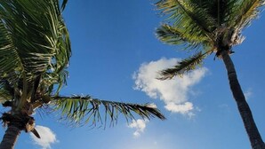 A beach scene with a thatched-roof gazebo, palm trees, and a clear sky. - Pelican's Roost, Waterfront comfort at Venture Out (Cudjoe Key)