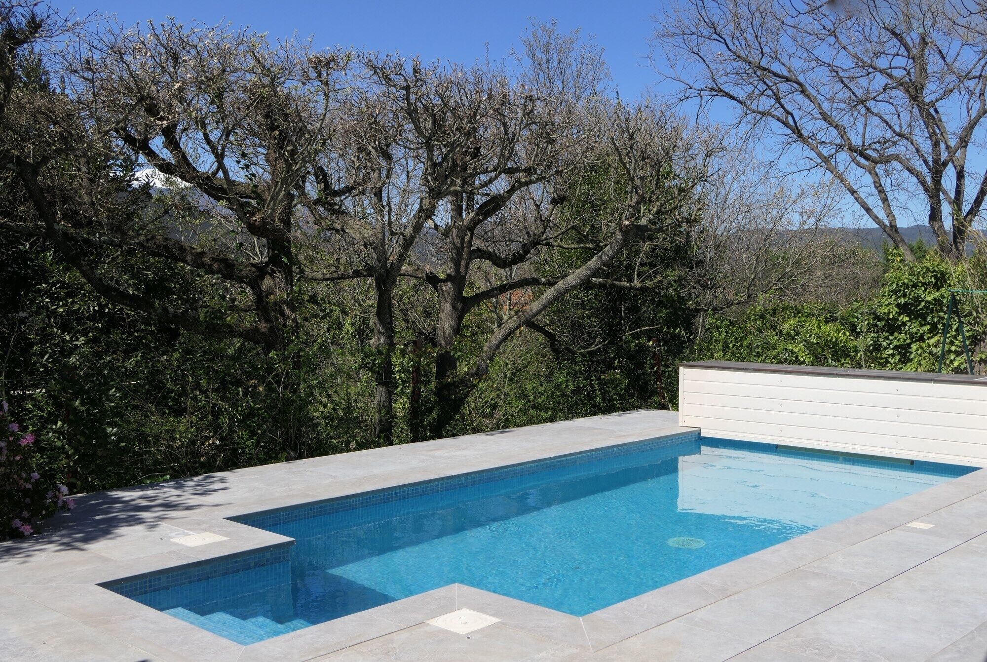 Une piscine rectangulaire bordée de carreaux, entourée d’arbres et d’une clôture blanche.