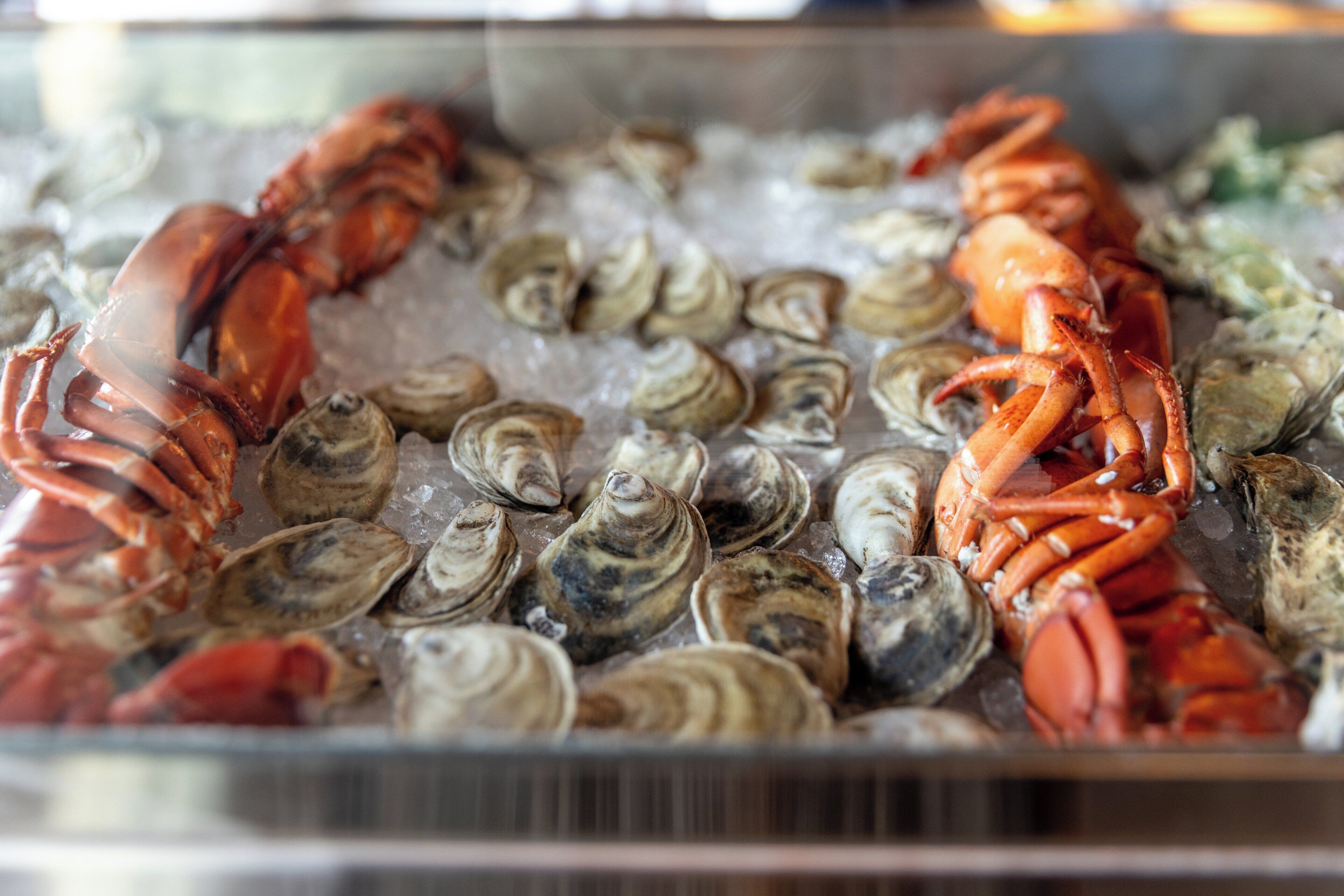 A seafood display with lobsters and clams on ice.
