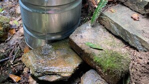 Un récipient métallique contenant de l’eau, placé sur des rochers près d’un ruisseau, dans une zone boisée.