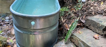 Campsite 1 - Creekside on 38 acres -biking and hiking trails