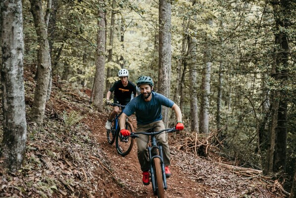 Sendero de bicicleta de montaña en un bosque con tres ciclistas.