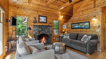 Fernseher, Kamin, DVD-Player