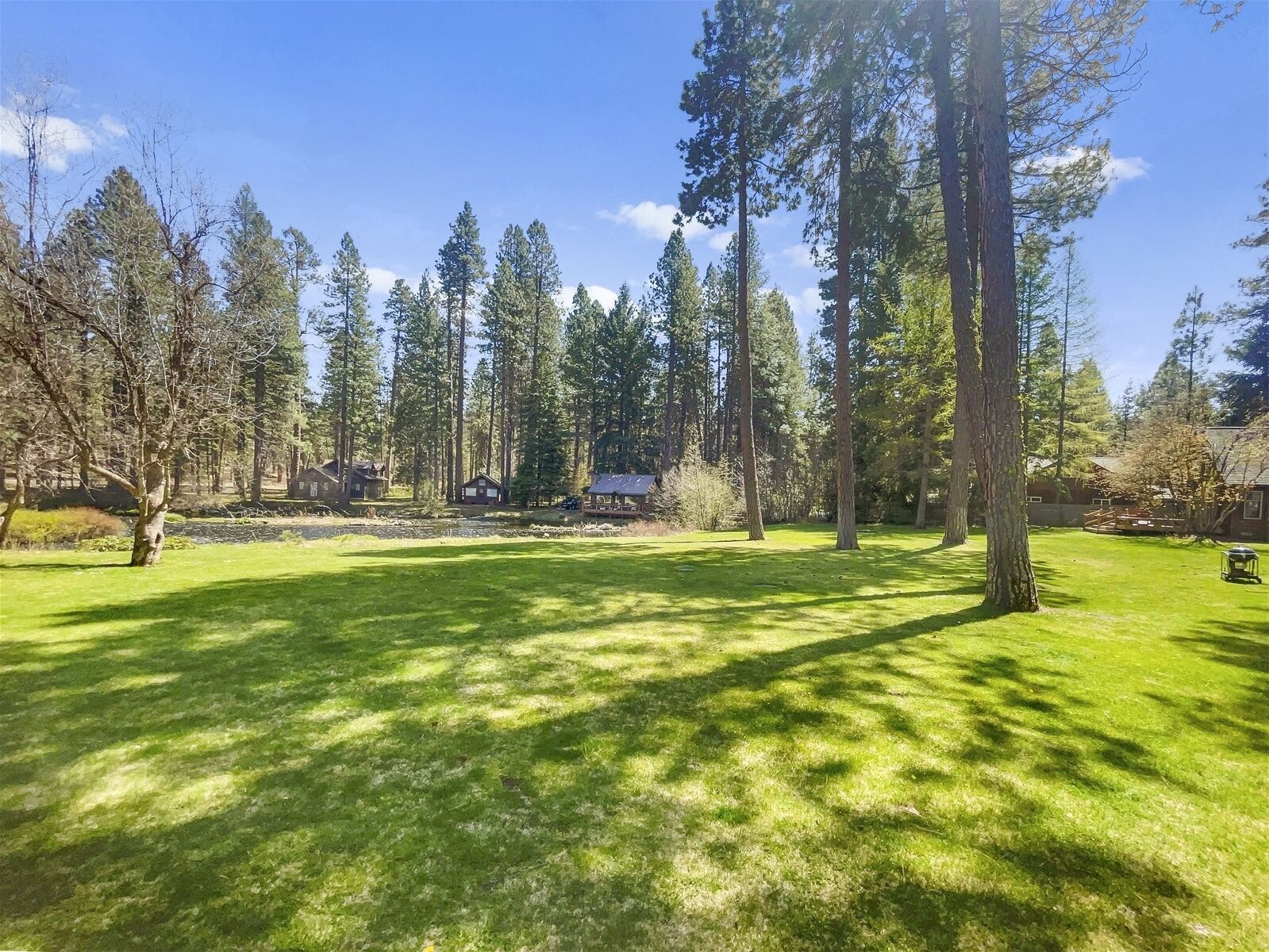 A grassy outdoor area with tall trees and a building in the background.