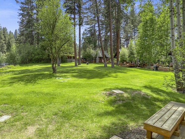 A well-maintained grassy area with a wooden bench, surrounded by tall trees and a wooden deck.