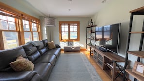 Smart TV, fireplace, books