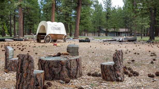 A covered wagon in a forested area with wooden stumps and pine cones on the ground. - Cozy Tollgate Cabin Near Trails + Pool (Sisters)