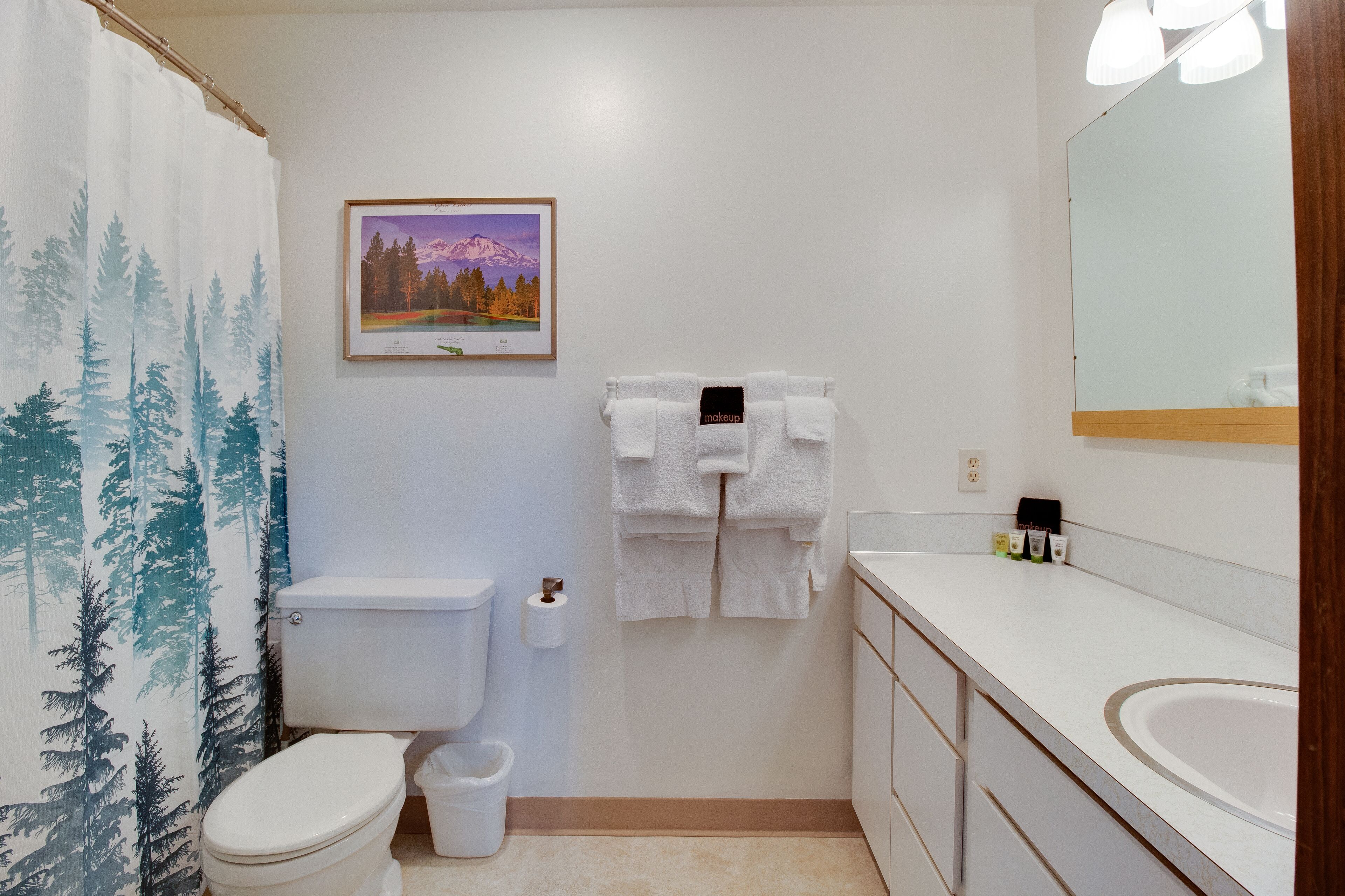 Une salle de bain avec des toilettes, un lavabo et un tableau encadré au mur.