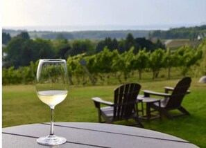 Property grounds - 28 North Extended Stay Suites!! pickleball, hot tubs and game room + pool tables (Traverse City)