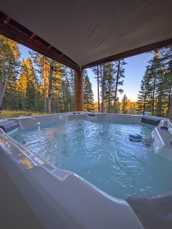 Un bain à remous avec vue sur une zone boisée.