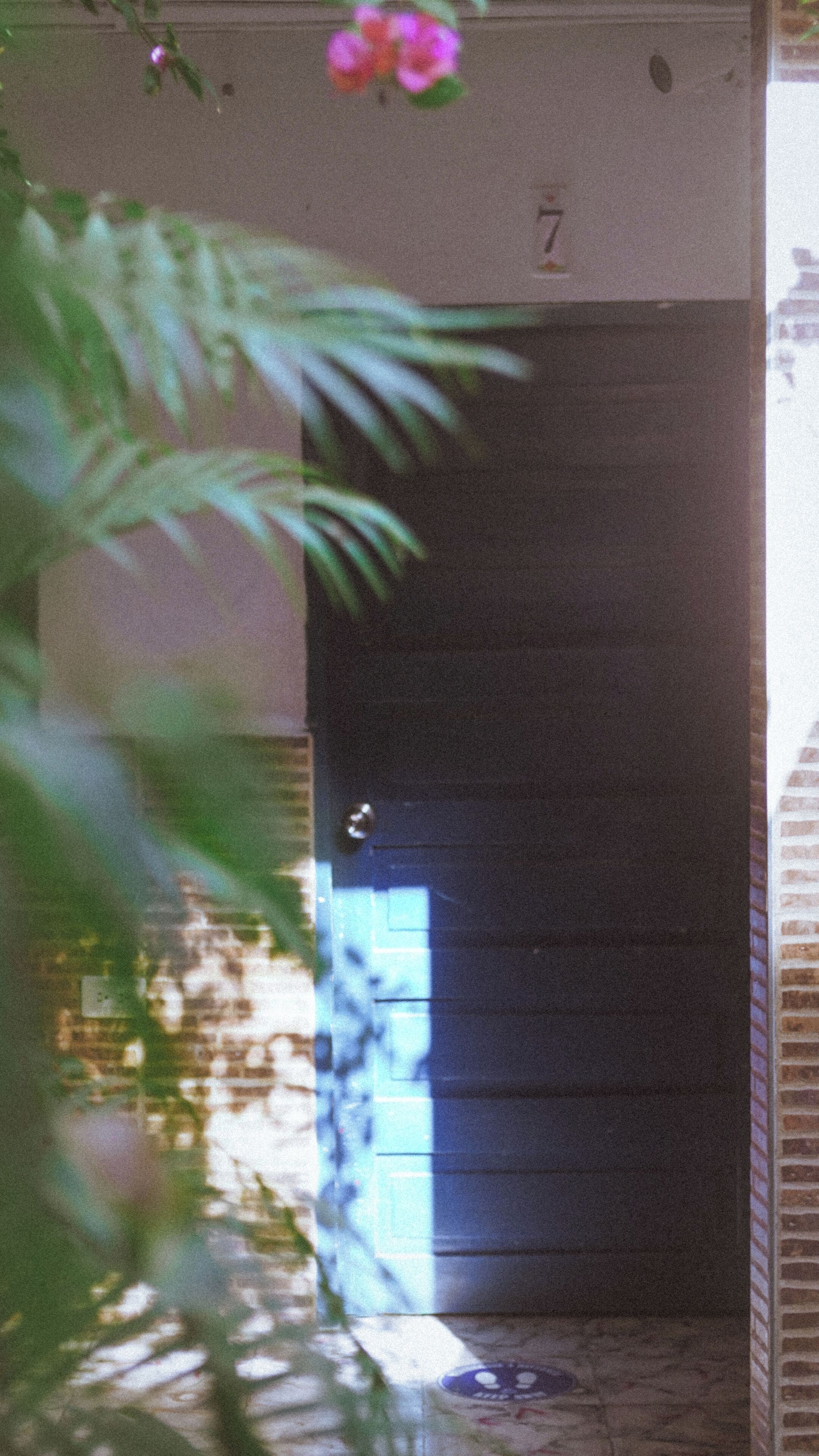 Photo - Hostal Luna Llena Getsemaní