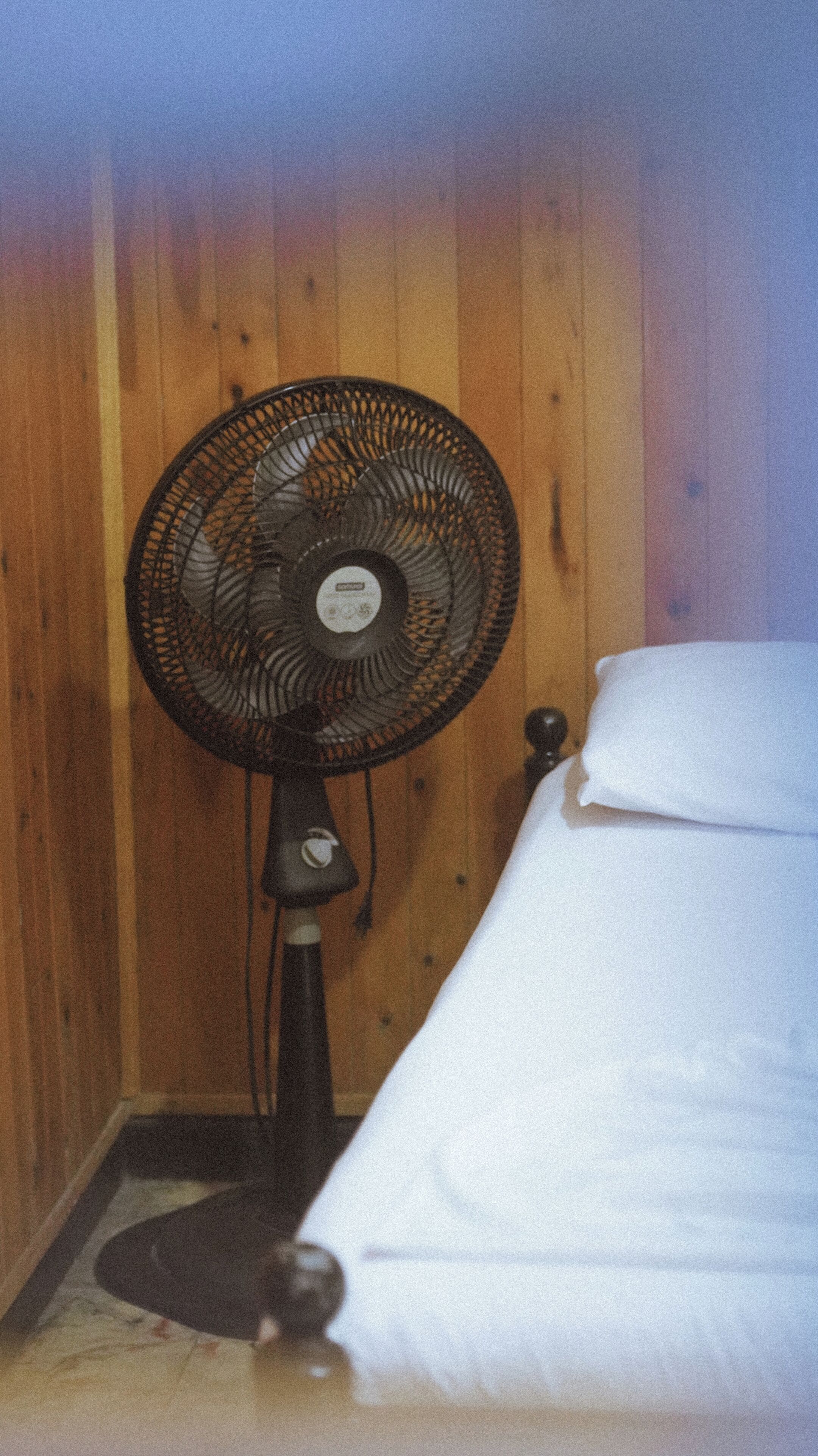 Photo - Hostal Luna Llena Getsemaní