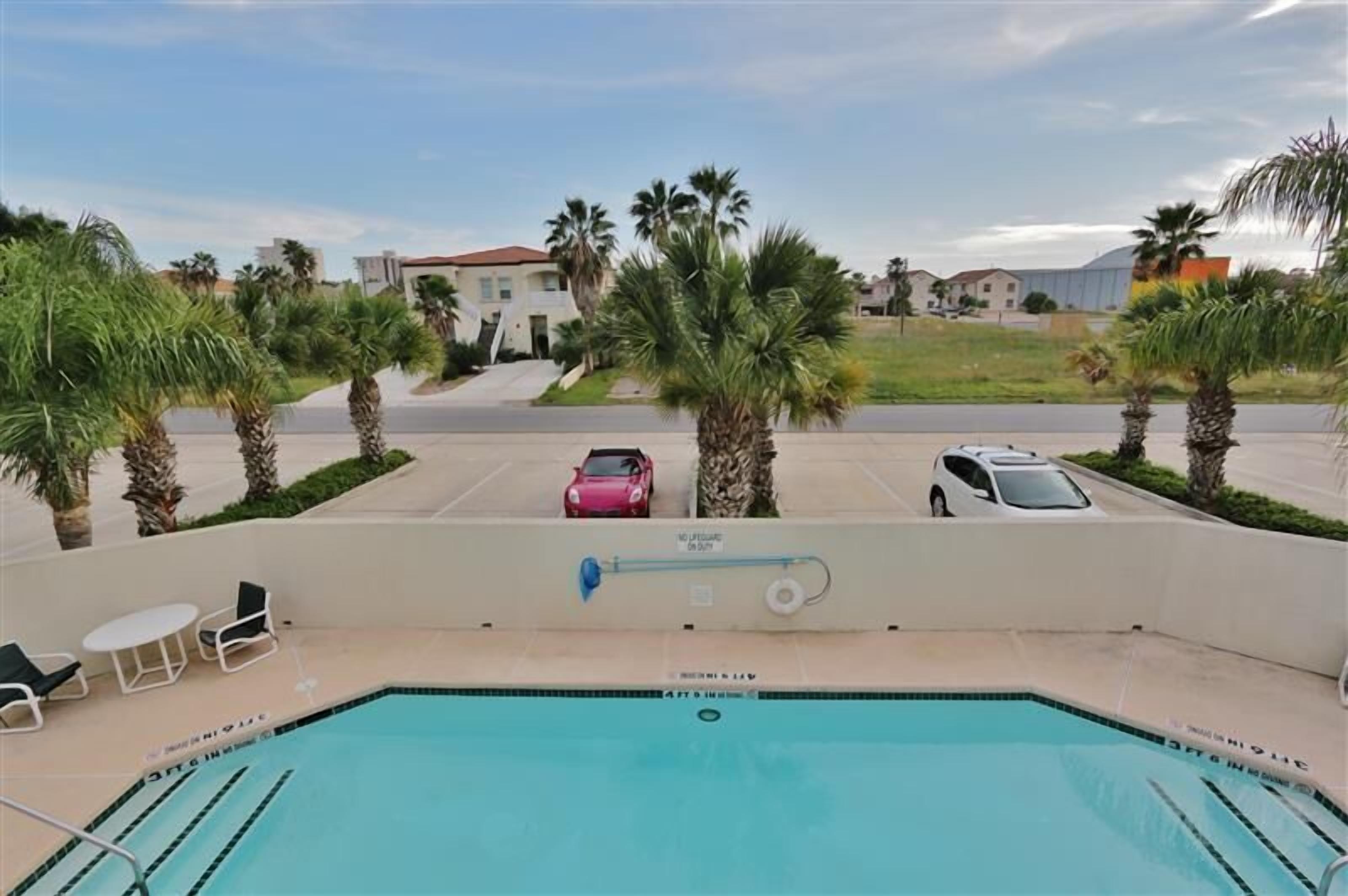 A swimming pool with a no diving sign, palm trees, a parking lot with cars, and a building in the background.