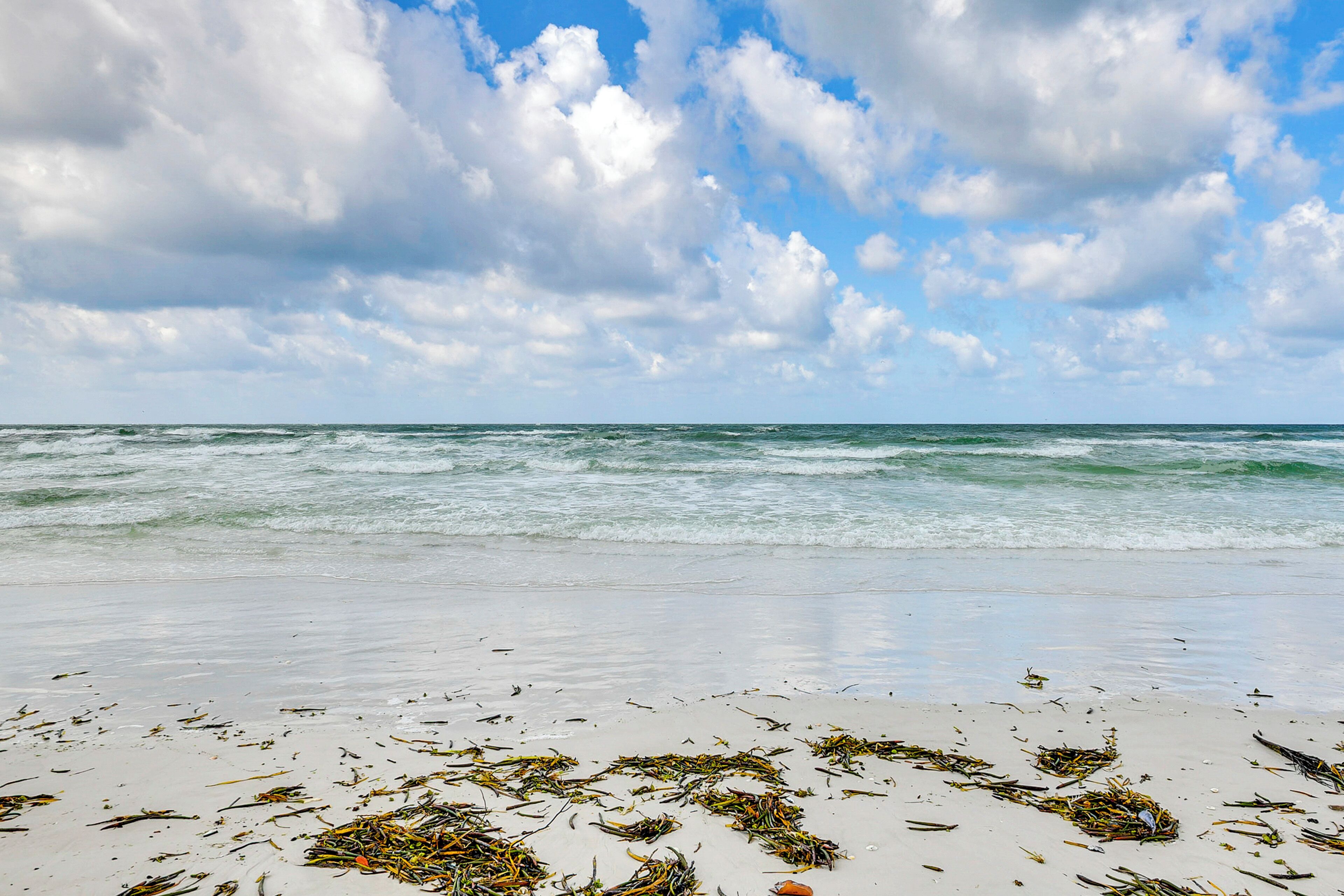 Una playa con olas y algas dispersas.