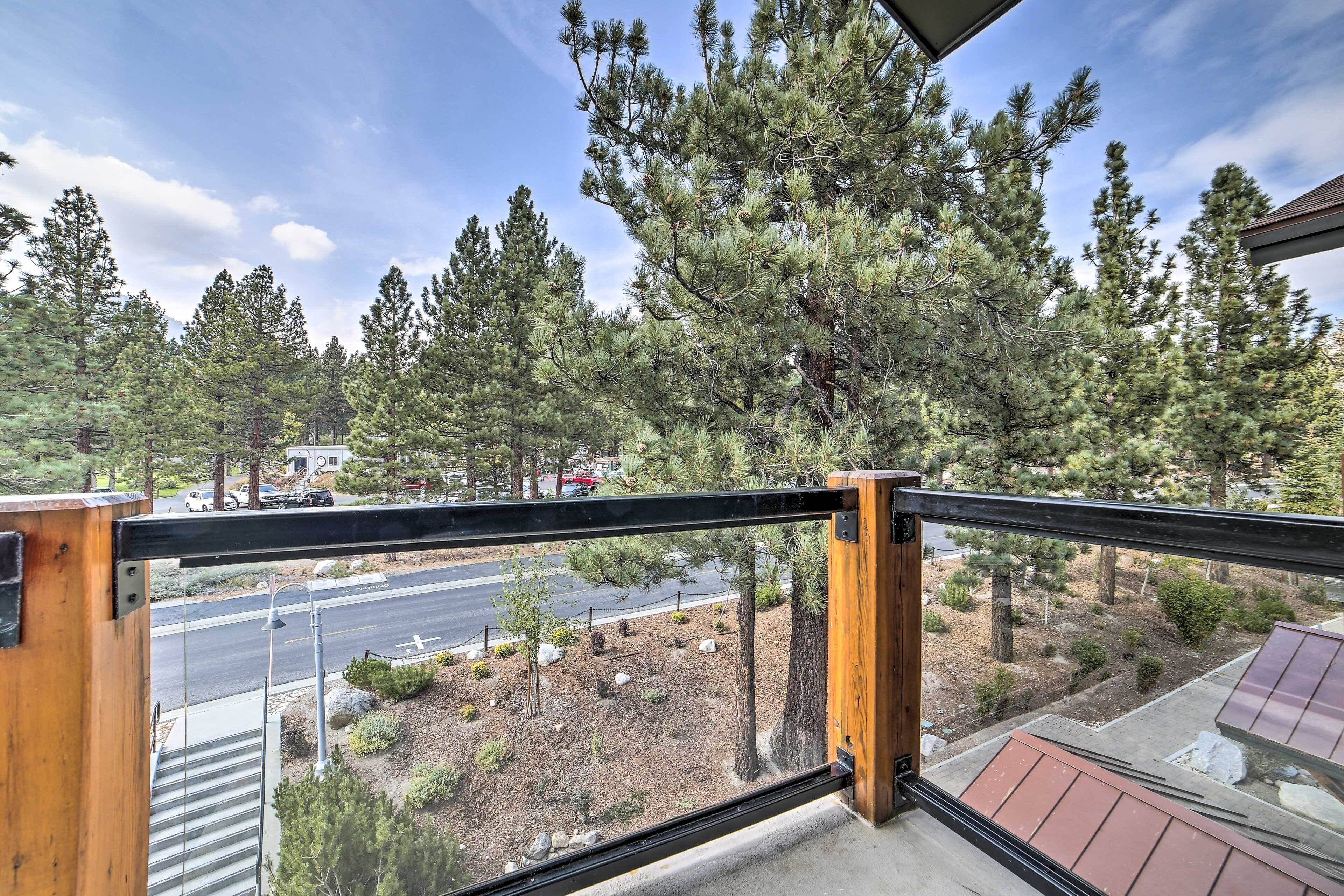 A balcony with a view of a pine forest, a road, and a parking area.