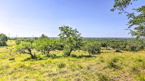 Un campo cubierto de hierba con árboles dispersos y cielo despejado.