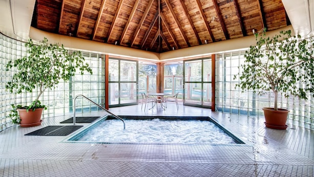 Uma área de spa com hidromassagem, teto de madeira, amplas janelas e plantas em vasos.