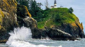 Apartment (0 Bedroom) | Interior