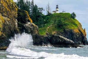 Apartment (0 Bedroom) | Interior - Adorable Downtown Studio - 1 Block to Long Beach! (Long Beach)