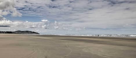 Apartment (0 Bedroom) | Interior