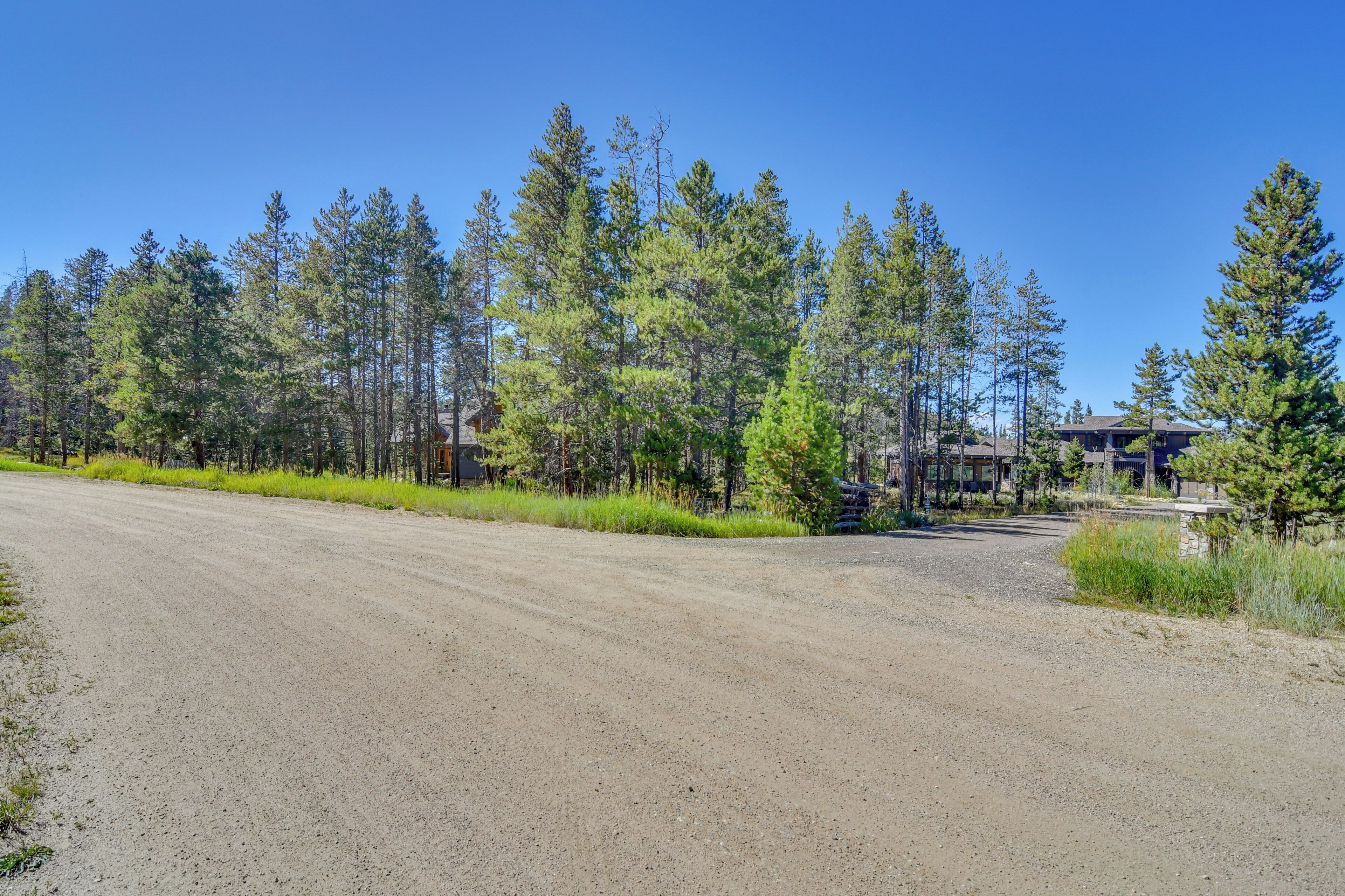 A gravel road leading to a building surrounded by tall pine trees.