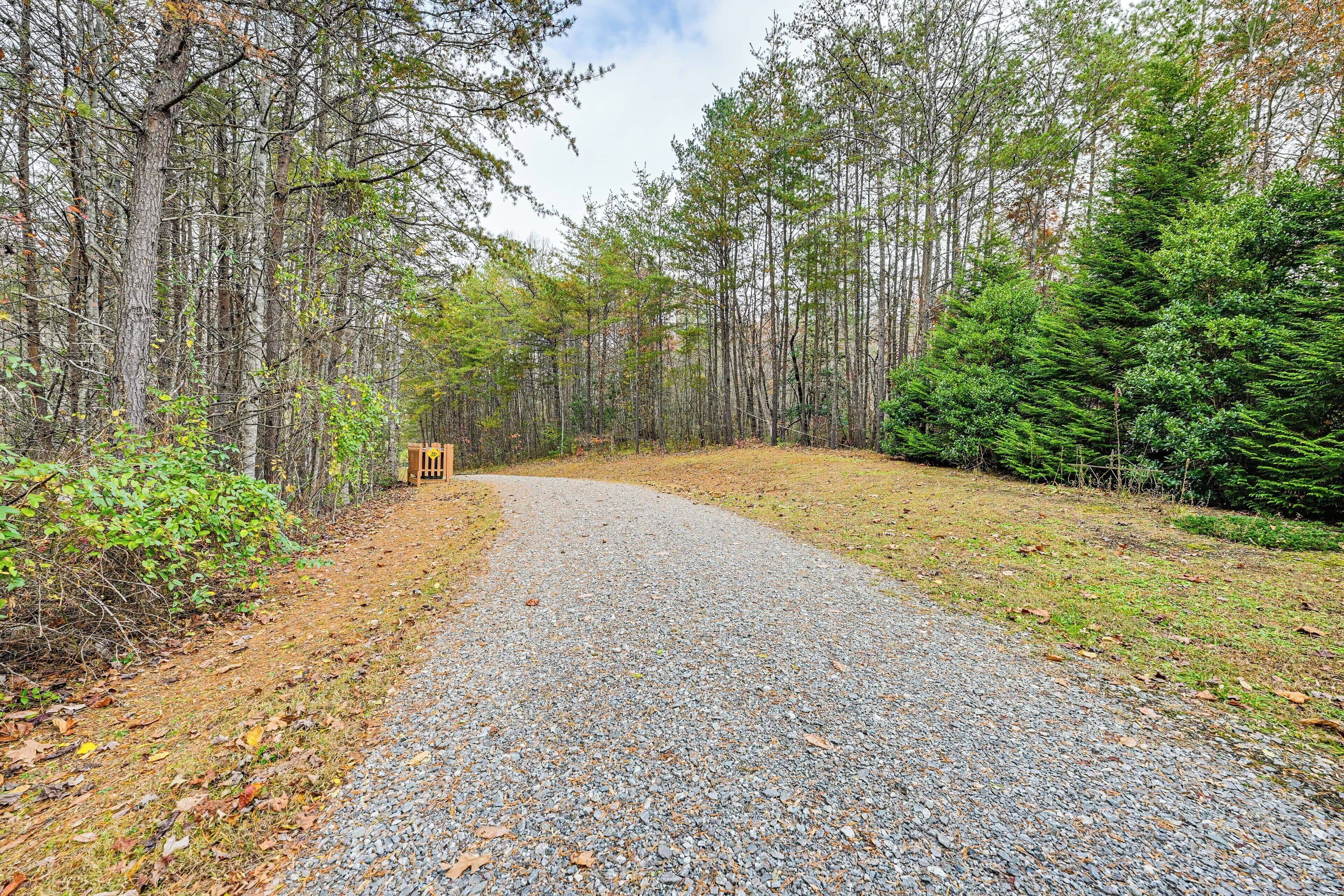A gravel path leading through a forest with tall trees and a bench.