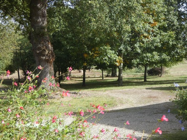 Boendeområde