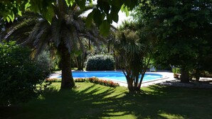 Un jardín bien cuidado con piscina, rodeado de exuberante follaje y palmeras.