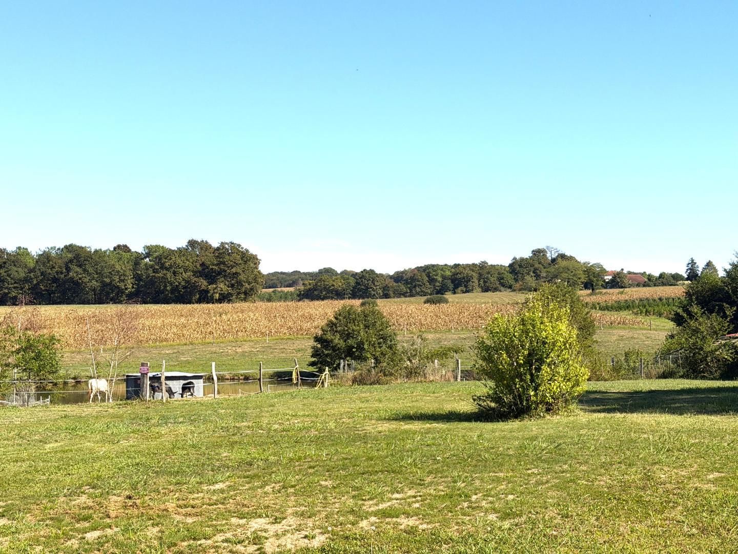 A rural landscape with a field, a small building, and a few trees.
