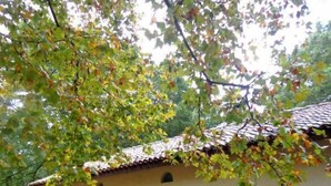 A rustic house with a tiled roof, a front door, and blue shutters. - Escapeteu - AZUR - Gîte (AZUR)